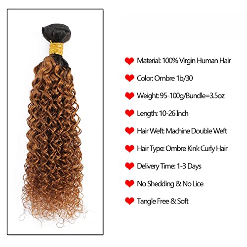 Two Tone Hair Extension: Human Hair - Image 2