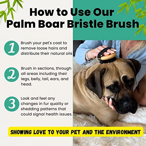 Boxer dog brush for grooming and shedding control. - Image 5