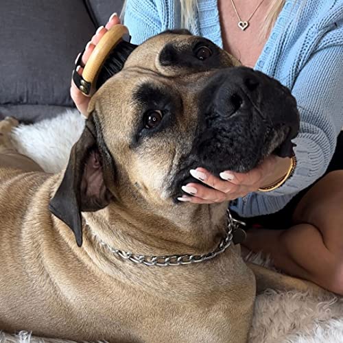 Boxer dog brush for grooming and shedding control. - Image 6