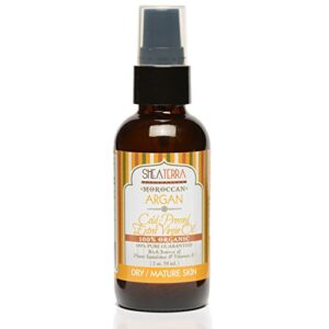Enchante Argan Oil Hair Treatment 100ml for Soft Shiny Nourished Hair
