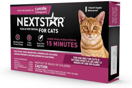 Fleas from Cats Can Infest Human Hair