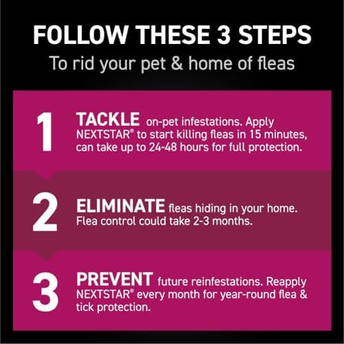 Fleas from Cats Can Infest Human Hair - Image 5
