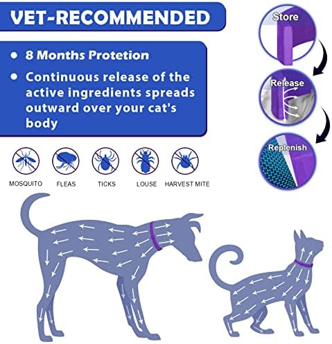 Fleas from dogs can infest human hair. - Image 2
