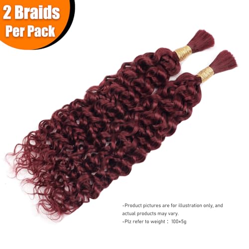 Human Hair Characteristics: Shorter Version - Image 2