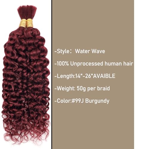 Human Hair Characteristics: Shorter Version - Image 6