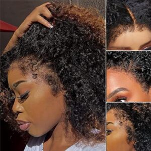 Kinky Afro Human Hair Wig