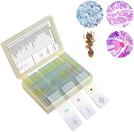High Magnification Microscope for Detailed Hair Analysis 1000x