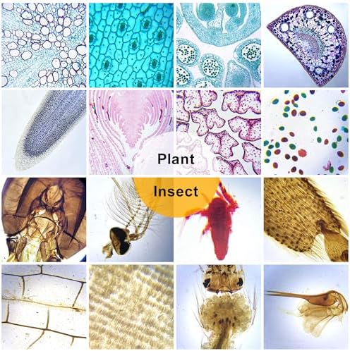 High Magnification Microscope for Detailed Hair Analysis 1000x - Image 7