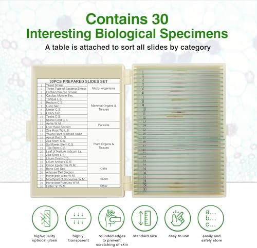 High Magnification Microscope for Detailed Hair Analysis 1000x - Image 4