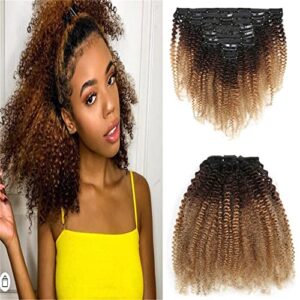 18 Inch Ombre Clip In Human Hair Extensions for Easy Volume and Length