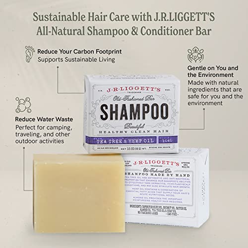 Tea Tree Oil Hair Conditioner, Leave In - Image 7