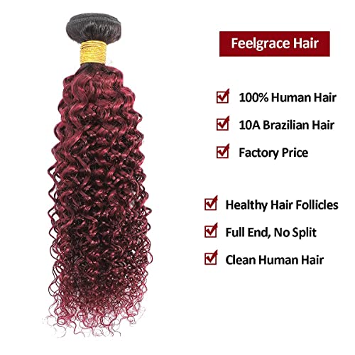 100% Real Brazilian Kinkys Curly Human Hair Weave Bundles (1 Piece, 100 Gram) Black to Burgundy 2 Tone Afro Kinky Curly Hair Bundles for Women Girls (10 Inch) - Image 6