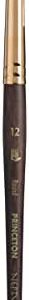 Princeton Artist Brush Neptune, Brushes for Watercolor Series 4750, Round Synthetic Squirrel, Size 12
