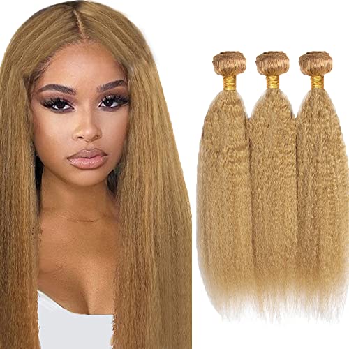 20 22 24 Inch DiexrLamx Hair Honey Blonde Bundles Color #27 Kinky Straight Human Hair Bundles Color #27 Bundles Human Hair Unprocessed Virgin Hair Blonde Yaki Straight Bundles Hair Weave
