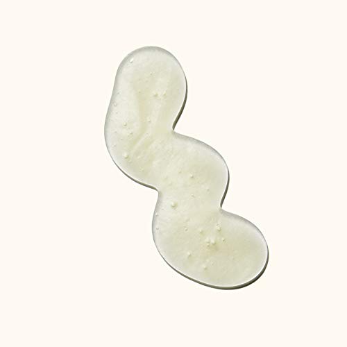 Paraben Free Shampoo Explained - Image 6