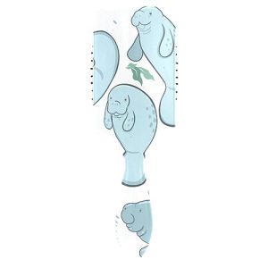 Hair Brush and Comb Set
