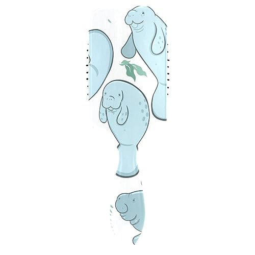 Hair Brush and Comb Set