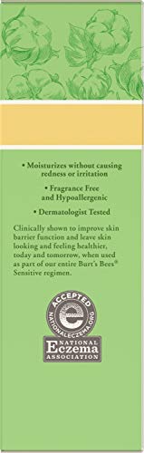 Burt's Bee Eye Cream - Image 5