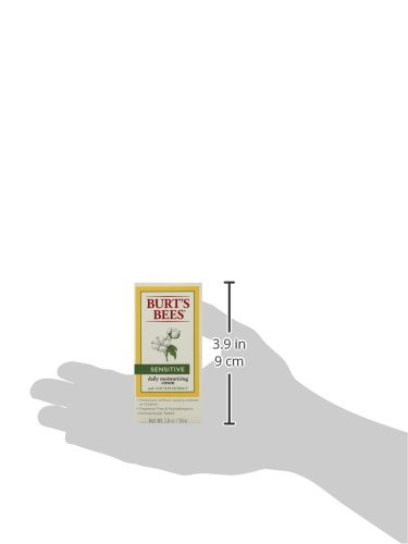 Burt's Bee Eye Cream - Image 12