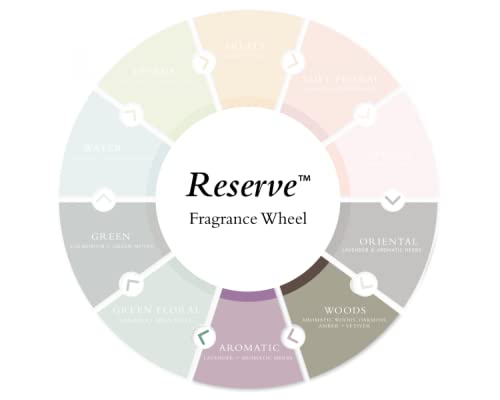 Gilchrist & Soames Reserve Conditioner - 15.5oz - Antioxidant Rich, All Hair Types, Zero Parabens, Sulfates, and Phthalates - Image 2