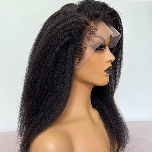 22 Inch 360 Lace Front Wig Real Human Hair Natural Look and Feel