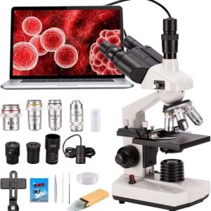 40x Magnification Microscope Slide of Human Hair for Educational and Scientific Use