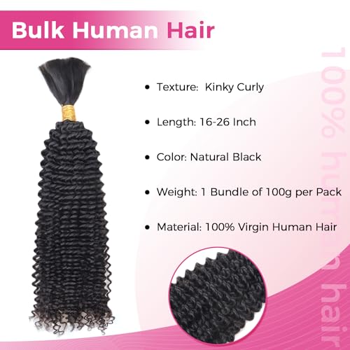 Human Braiding Hair Kinky Curly Bulk Human Hair for Braiding 100% Virgin Hair Bulk for Boho Braids Box Braids No Weft Hair Extensions Natural Black 100g 1 Bundle/1 Pack 16 Inch - Image 2