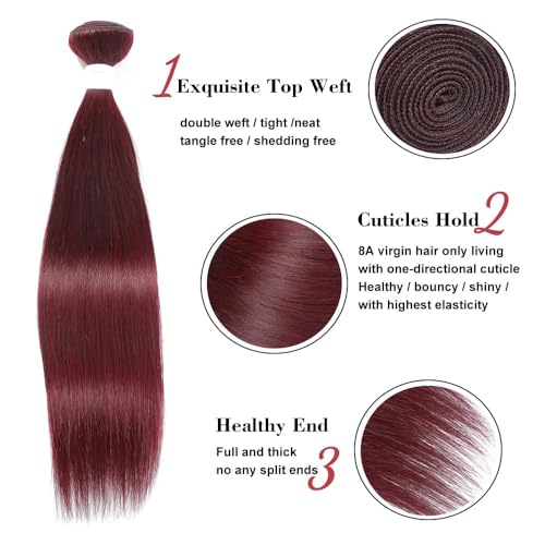 Burgundy 100g Premium Human Hair Bundles for Full-Length Extensions - Image 6