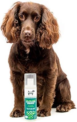 Hownd Yup You Stink, Conditioning Shampoo for Stinky Smelly Dogs, w/Eucalyptus & Cedarwood, Dirt Busting, Deep Cleaning Formula w/Odor Control,Nourishes Skin & Coat,Vegan - 8.5oz - Image 5