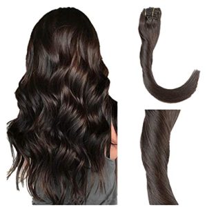 Human Hair Extensions Remy #2 Dark Brown 120g 8Pcs/Set Double Weft Thick Brazilian Human Hair 16 Inches Clip on Extension For Full Head…