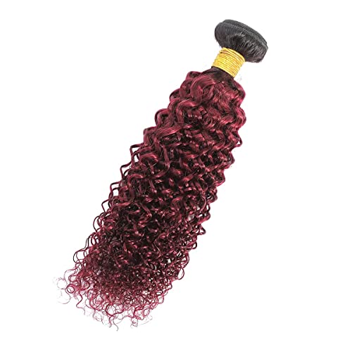 100% Real Brazilian Kinkys Curly Human Hair Weave Bundles (1 Piece, 100 Gram) Black to Burgundy 2 Tone Afro Kinky Curly Hair Bundles for Women Girls (10 Inch) - Image 7