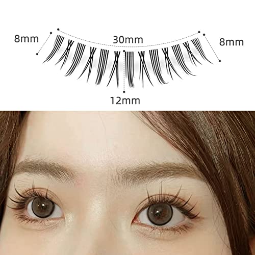 Eyelashes Under Eyelid - Image 5