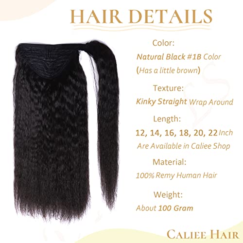 20 Inch Remy Human Hair Ponytail Extension Natural Feel and Look - Image 2