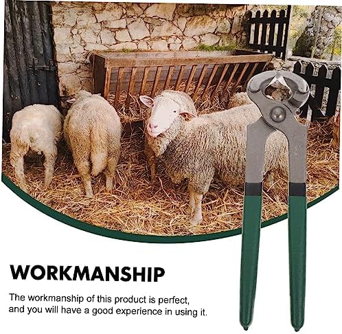 4pcs Sheep Hoof Pliers Hoof Trimmer Pig Hooves Trimmer Goat Hoof Nail Clippers Hoof Repair Shear Lamb Pro Tools Horseshoe Shearing Tool Cattle and Sheep Supplies Stainless Steel - Image 5