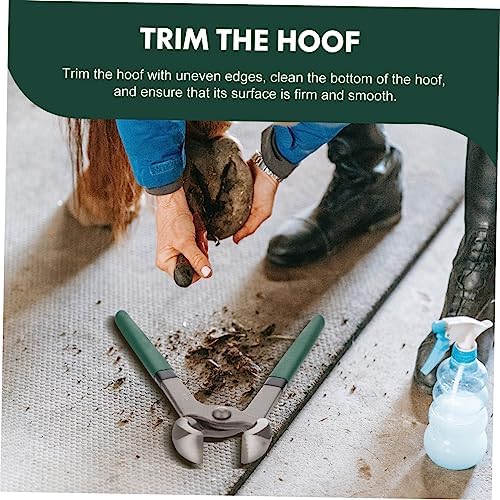 4pcs Sheep Hoof Pliers Hoof Trimmer Pig Hooves Trimmer Goat Hoof Nail Clippers Hoof Repair Shear Lamb Pro Tools Horseshoe Shearing Tool Cattle and Sheep Supplies Stainless Steel - Image 9