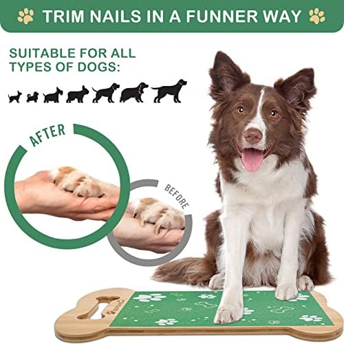 Durable High-Quality Dog Nail Clippers Comfortable Grip for Easy Grooming 13 Words - Image 5