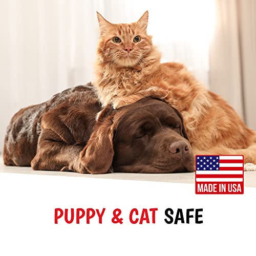 Dog-Safe Nail Polish for Pet Grooming - Image 6