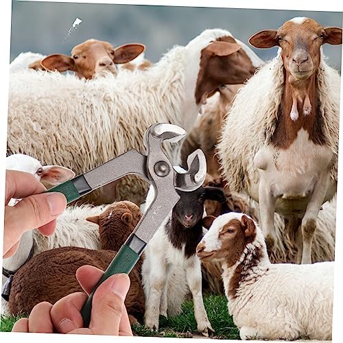 4pcs Sheep Hoof Pliers Hoof Trimmer Pig Hooves Trimmer Goat Hoof Nail Clippers Hoof Repair Shear Lamb Pro Tools Horseshoe Shearing Tool Cattle and Sheep Supplies Stainless Steel - Image 2