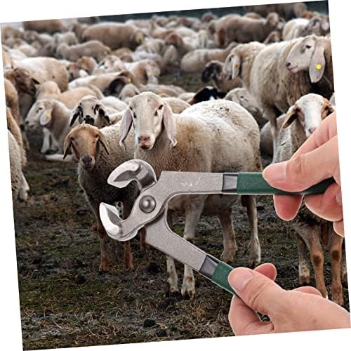 4pcs Sheep Hoof Pliers Hoof Trimmer Pig Hooves Trimmer Goat Hoof Nail Clippers Hoof Repair Shear Lamb Pro Tools Horseshoe Shearing Tool Cattle and Sheep Supplies Stainless Steel - Image 7