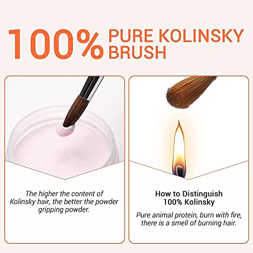 MODELONES Size 8 Kolinsky Sable Acrylic Nail Brush for Professional Manicures - Image 2