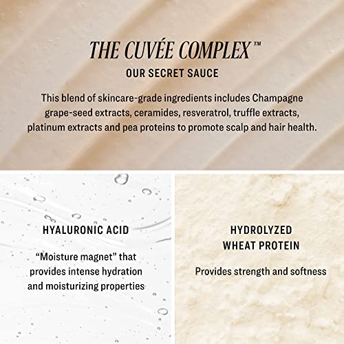 Cuvee Conditioner - 1.7 fl oz Travel Size - Softens, Strengthens, Hydrates & Protects Hair - Includes Hyaluronic Acid - Champagne-Infused Formula with Resveratrol & Ceramides - Color Safe - Image 6