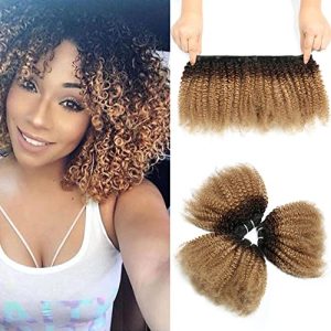 ?Kinky Human Hair Weave: Shorter Version?