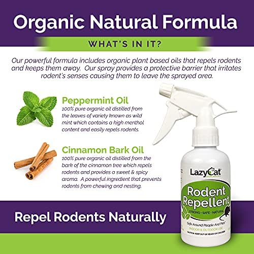Peppermint Oil Spray for Rodents Plus Cinnamon Oil - MAX Power Mouse Repellent for Home RV Campers Boats Car Engines – Repel Mice and Rats from House Non-Staining 2X Strength (2 Pack) by Lazy Cat - Image 6