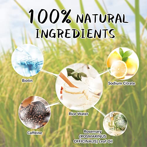 Argan Oil Shampoo by Natural World - Image 4