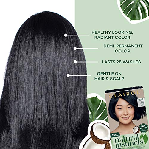 Clairol Natural Hair Dye - Image 10