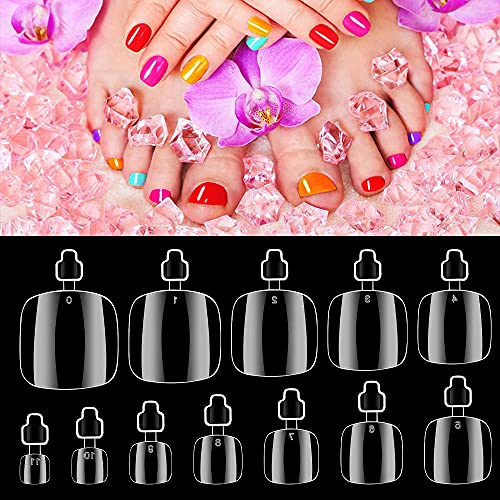 600Pcs Clear Toe Nail Tips, Rosy Finch 12 Size Fake Toenails for Acrylic Tips False Nails Full Cover DIY Foot Nails - Image 3