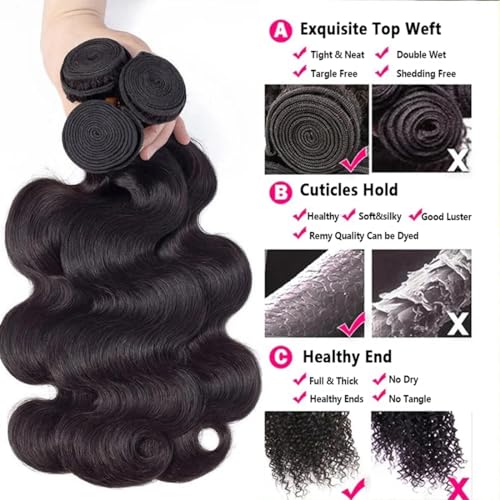 ?Plant-Based Hair Dye? - Image 6