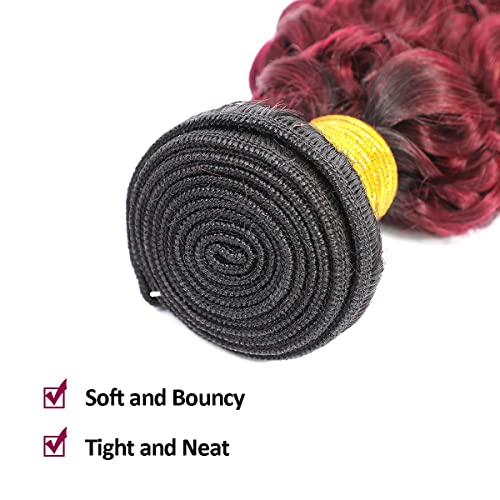 100% Real Brazilian Kinkys Curly Human Hair Weave Bundles (1 Piece, 100 Gram) Black to Burgundy 2 Tone Afro Kinky Curly Hair Bundles for Women Girls (10 Inch) - Image 4