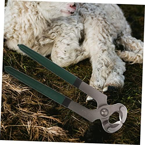 4pcs Sheep Hoof Pliers Hoof Trimmer Pig Hooves Trimmer Goat Hoof Nail Clippers Hoof Repair Shear Lamb Pro Tools Horseshoe Shearing Tool Cattle and Sheep Supplies Stainless Steel - Image 6