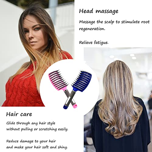 2 PACK Boar Bristle Hair Brush No Pull Curved Vented Hair Brush Detangler Brush Fast Blow Drying Hair Brush for Kids, Men, Women Wet Dry Long, Thin, Thick, Curly Tangled Hair (pink+blue) - Image 3